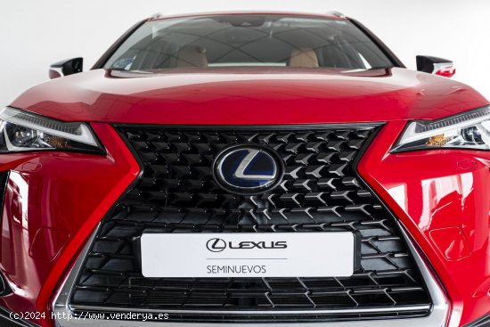 Lexus UX 250H 2WD BUSINESS - A Coruña