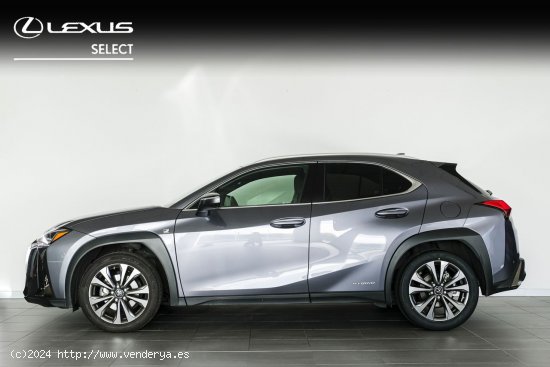 Lexus UX 250H 2WD F - SPORT - A Coruña