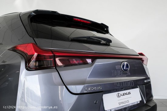 Lexus UX 250H 2WD F - SPORT - A Coruña