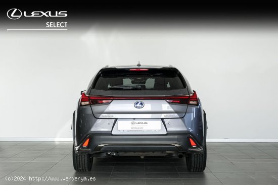 Lexus UX 250H 2WD F - SPORT - A Coruña