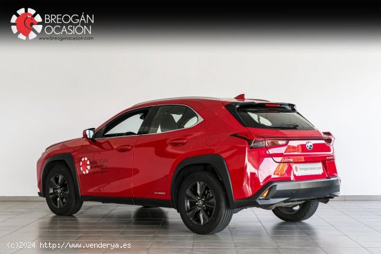 Lexus UX 250H 2WD BUSINESS - A Coruña