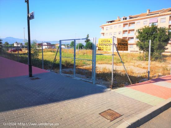 SE VENDE PARCELA EDIFICABLE EN EL CENTRO DE CASILLAS - MURCIA