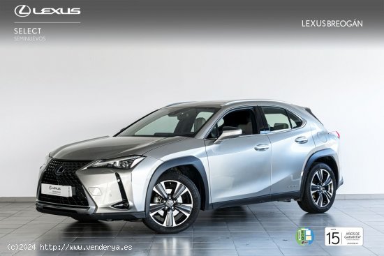 Lexus UX 250H 2WD LUXURY - A Coruña