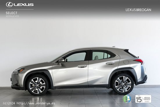 Lexus UX 250H 2WD LUXURY - A Coruña