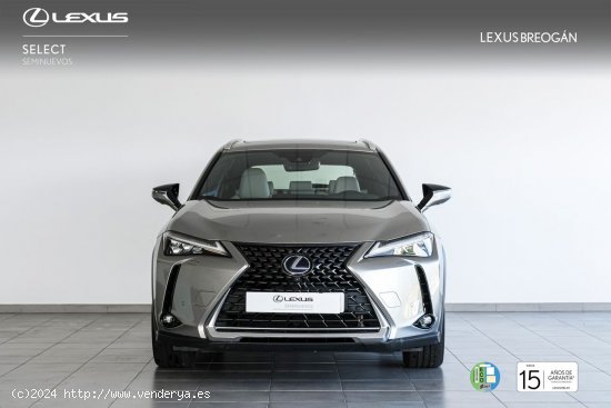 Lexus UX 250H 2WD LUXURY - A Coruña