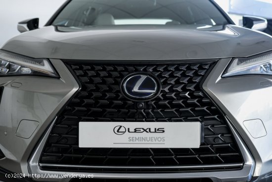 Lexus UX 250H 2WD LUXURY - A Coruña