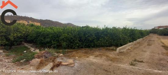 Se vende parcela rustica en Monteagudo. - MURCIA