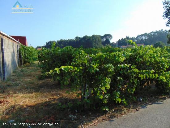 FINCA EDIFICABLE EN VILANOVA - PONTEVEDRA