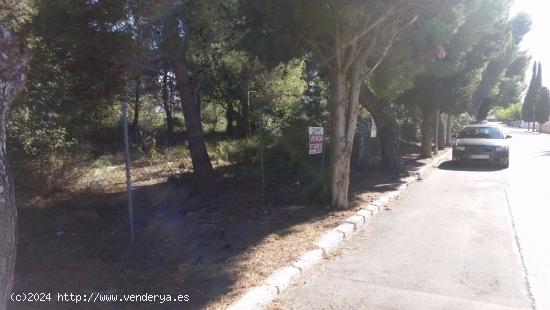 Terreno Urbano en Els Masos de Coamrruga - TARRAGONA