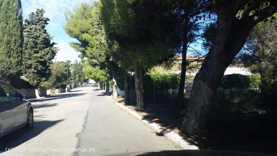 Terreno Urbano en Els Masos de Coamrruga - TARRAGONA