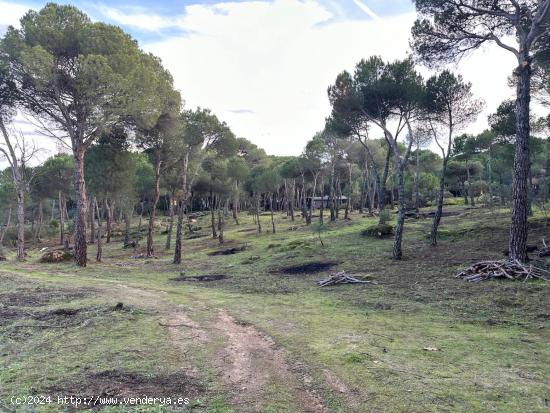 Parcela con vistas al pantano de San Juan (Costa Madrid) - MADRID