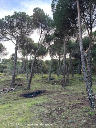 Parcela con vistas al pantano de San Juan (Costa Madrid) - MADRID