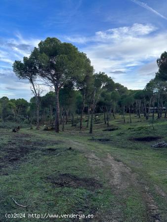 Parcela con vistas al pantano de San Juan (Costa Madrid) - MADRID