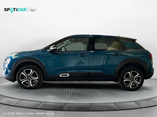 Citroën C4 Cactus  BlueHDi 100 S&S Feel - Leganés