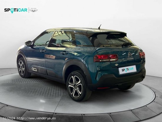 Citroën C4 Cactus  BlueHDi 100 S&S Feel - Leganés