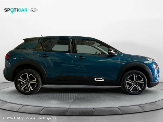 Citroën C4 Cactus  BlueHDi 100 S&S Feel - Leganés