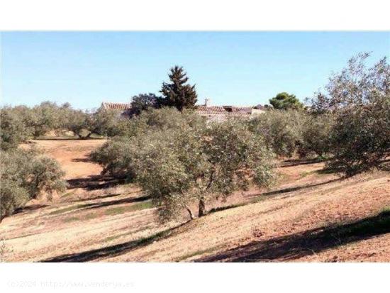 INCREÍBLE FINCA RÚSTICA A LA VENTA! - GRANADA