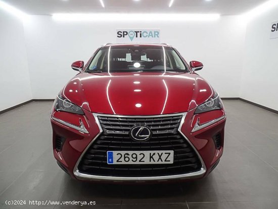 Lexus NX  2.5 300h  2WD Business - València