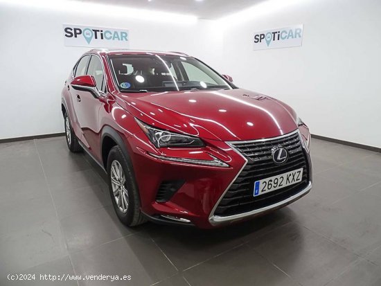 Lexus NX  2.5 300h  2WD Business - València