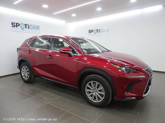 Lexus NX  2.5 300h  2WD Business - València