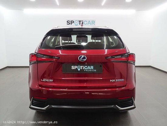 Lexus NX  2.5 300h  2WD Business - València