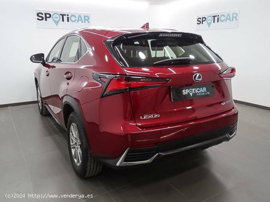 Lexus NX  2.5 300h  2WD Business - València