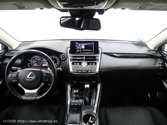 Lexus NX  2.5 300h  2WD Business - València