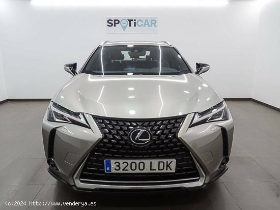 Lexus UX  2.0 250h  Navigation Business - València