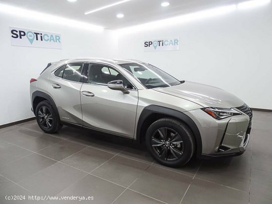 Lexus UX  2.0 250h  Navigation Business - València