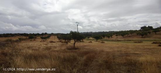  Finca rústica de 61900 m2 - CACERES 