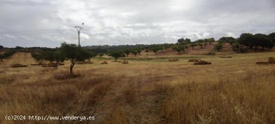 Finca rústica de 61900 m2 - CACERES