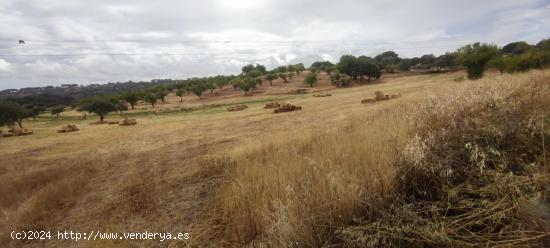 Finca rústica de 61900 m2 - CACERES