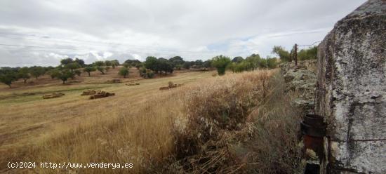 Finca rústica de 61900 m2 - CACERES