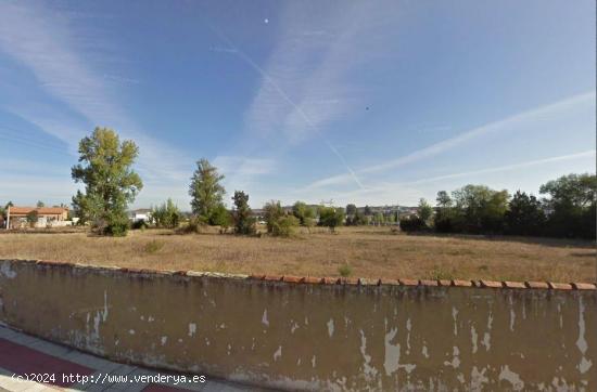 TERRENO EN SAN ANDRES DEL RABANEDO - LEON