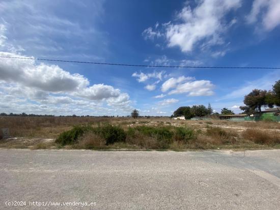  ¡Descubre tu refugio rural perfecto en Elche! - ALICANTE 