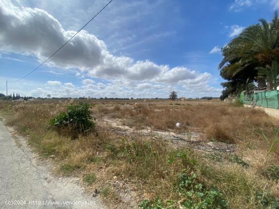 ¡Descubre tu refugio rural perfecto en Elche! - ALICANTE