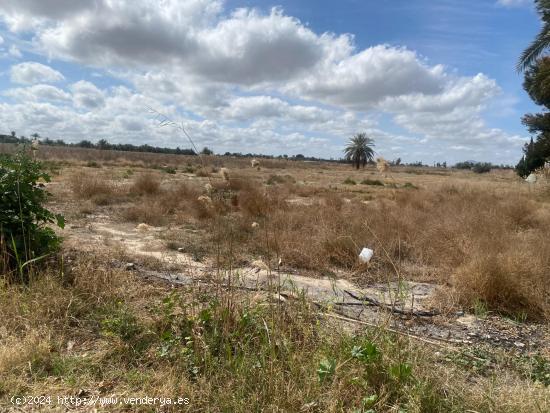 ¡Descubre tu refugio rural perfecto en Elche! - ALICANTE