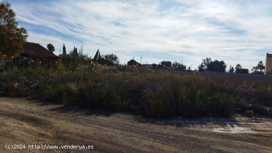 Adquiere tu refugio en el campo a solo 5 km de la playa - ALICANTE