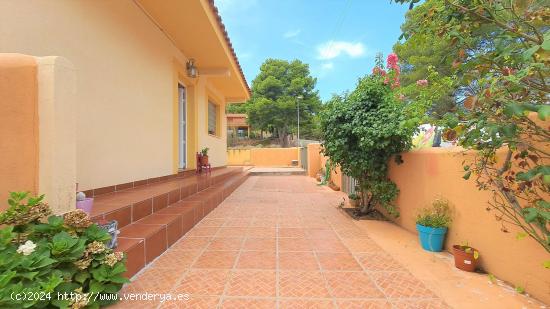 CASA INDEPENDIENTE CON AMPLIO TERRENO EN RIUDECANYES - TARRAGONA