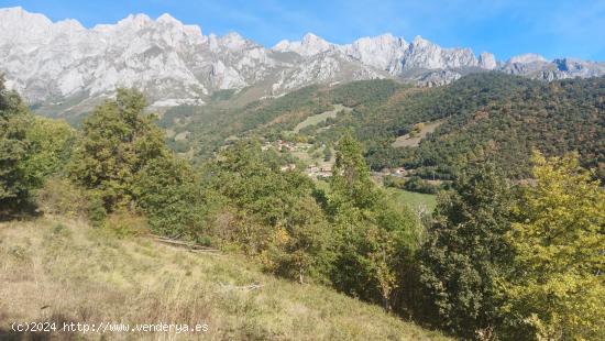 Venta terreno rústico ubanizable - CANTABRIA