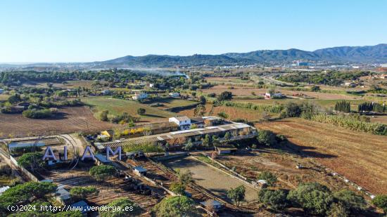 Hípica en venta en Tordera - BARCELONA