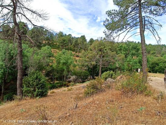  Terreno urbanizable más de 5.000 m2 en Santa María de la Alameda - MADRID 