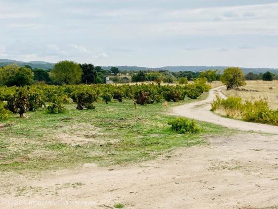 Se Vende en San Martin de Valdeiglesias - MADRID