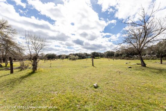 Maravillosa Finca Rustica con Hípica, Cafeteria, Residencia canina y Chalet. - MADRID