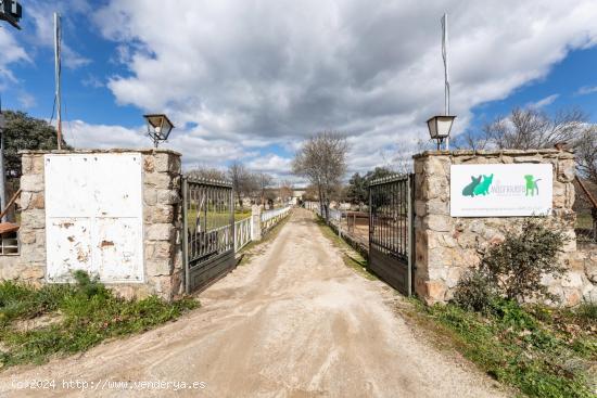 Maravillosa Finca Rustica con Hípica, Cafeteria, Residencia canina y Chalet. - MADRID