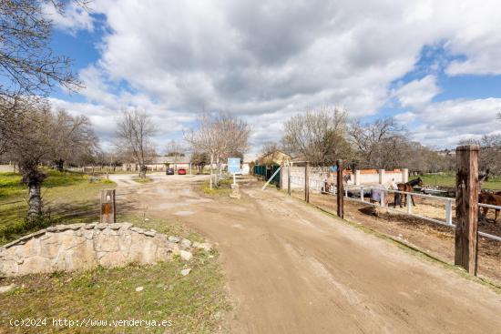 Maravillosa Finca Rustica con Hípica, Cafeteria, Residencia canina y Chalet. - MADRID