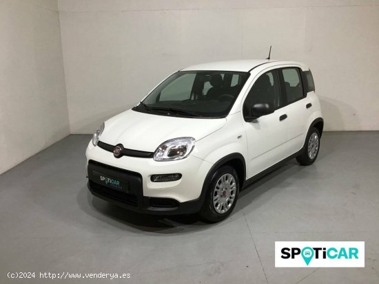 Fiat Panda  Panda 1.0 Hybrid 51kW (70cv) - - Barberà del Vallès