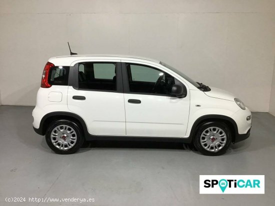 Fiat Panda  Panda 1.0 Hybrid 51kW (70cv) - - Barberà del Vallès