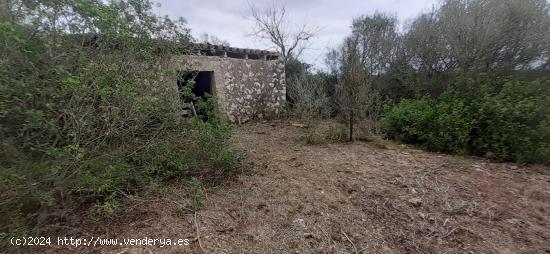  FINCA CON CASA PARA REFORMAR EN ARIANY - BALEARES 