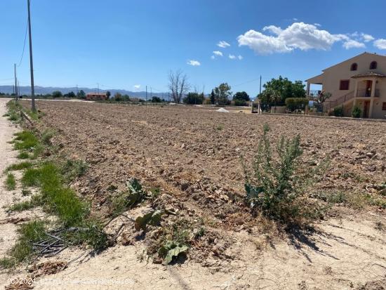 Parcela para construcción junto a Centro Comercial Almenara - MURCIA